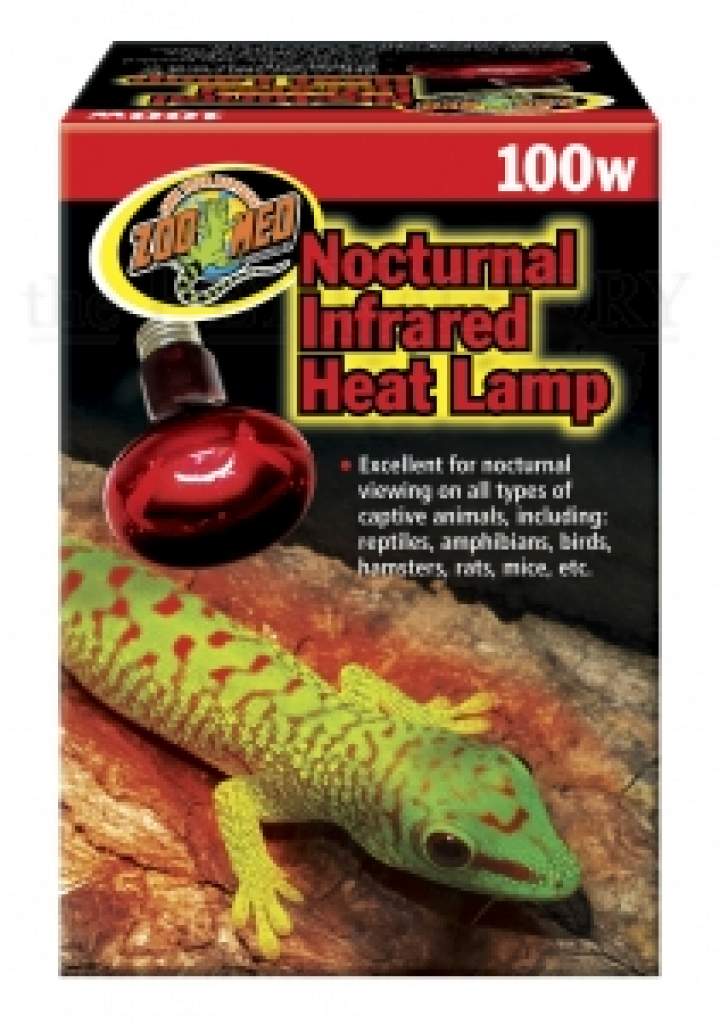 Infrarot Nacht-Wärmelampe – Zoo Med Nocturnal